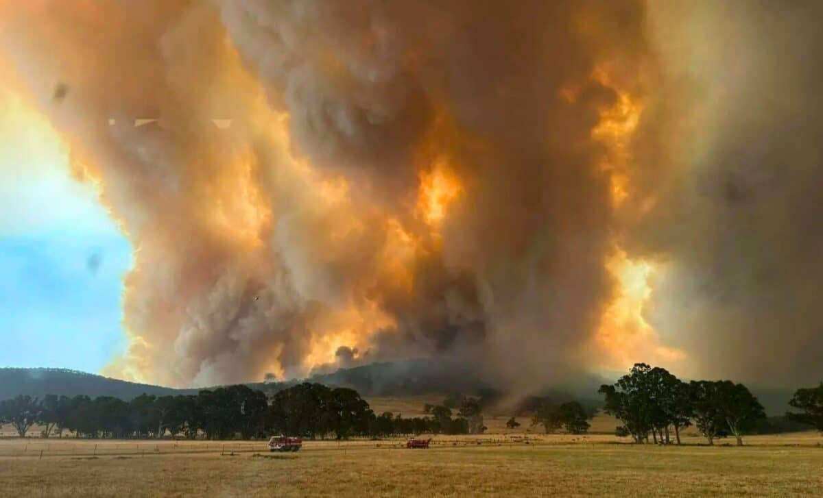 A massive bushfire is currently devastating Grampians National Park