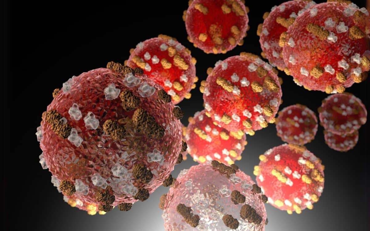 Measles Virus Cells