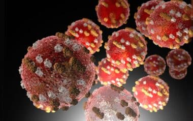 Measles Virus Cells