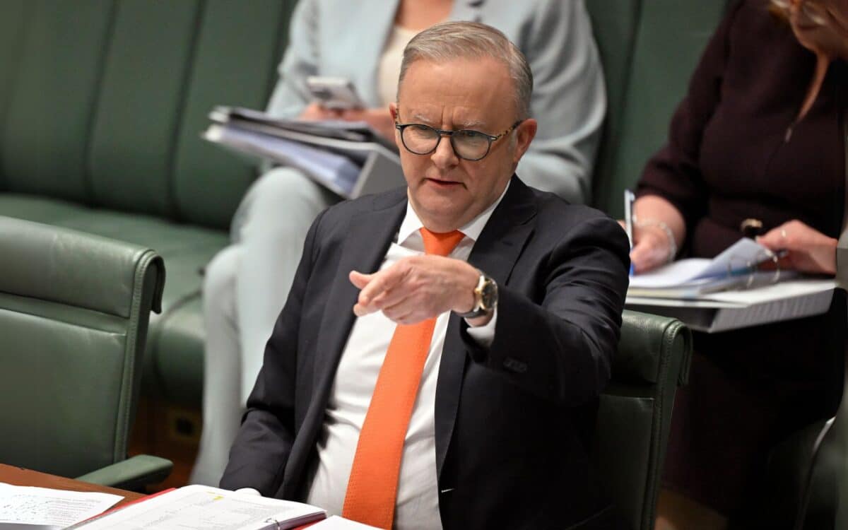 Anthony Albanese parlement on Small Business