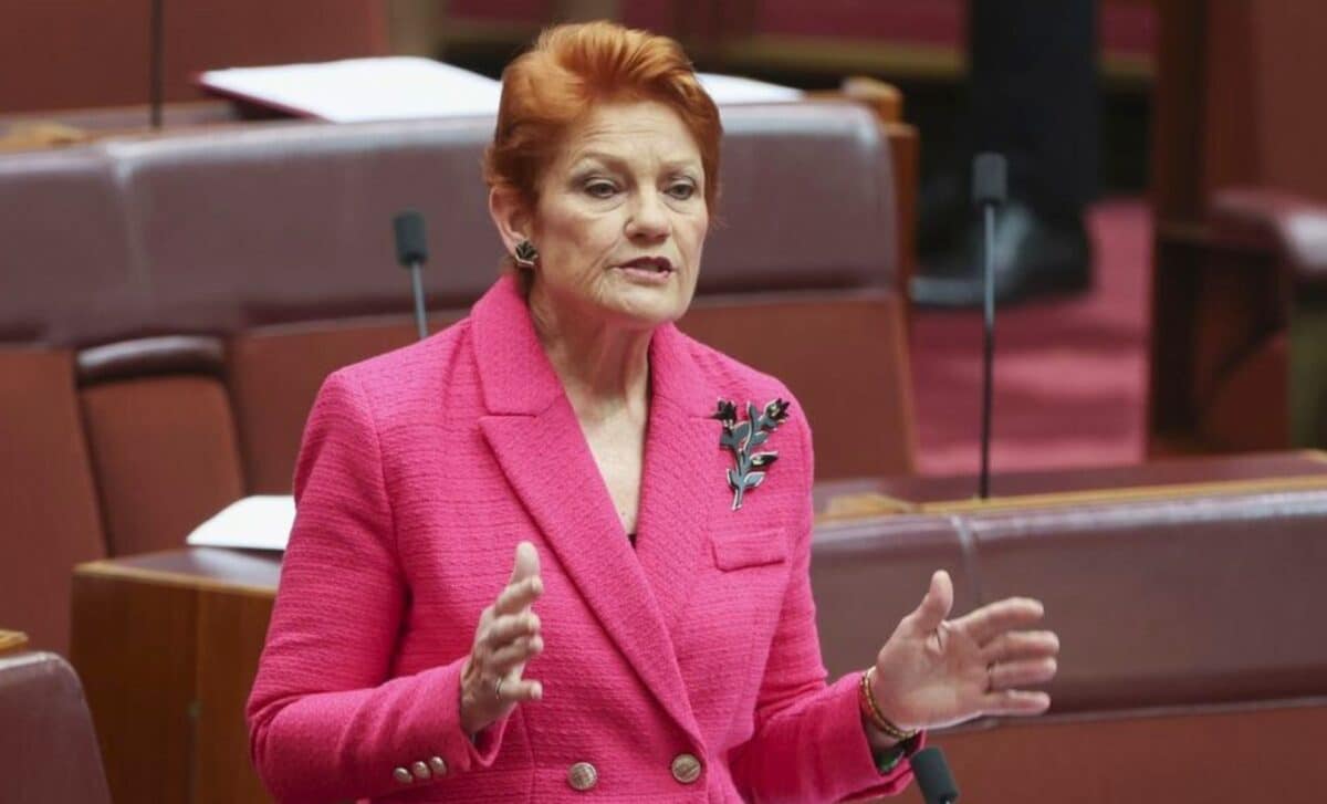 Pauline Hanson has proposed a new tax cut, but the numbers don't quite stack up.
