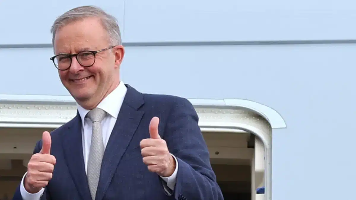 Anthony albanese bulk billing