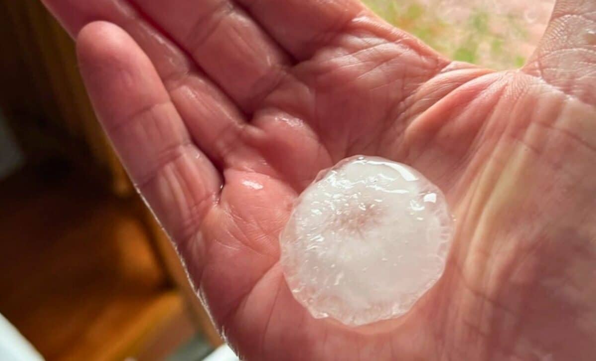 huge hailstones that smashed her laserlite skylight