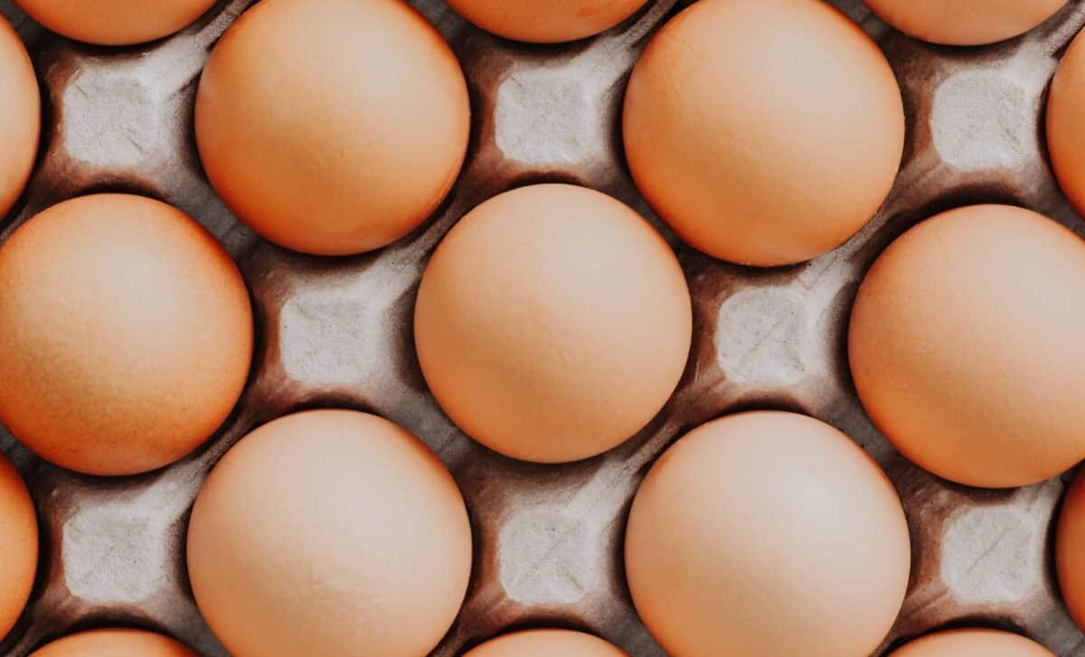 Egg tray