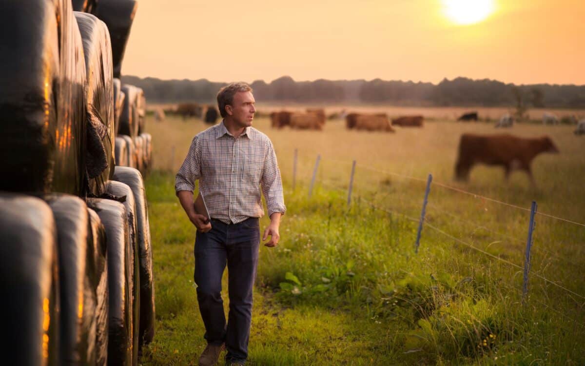 Trump Targets Australian Beef Exports as Us Farmers Push for More Tariffs
