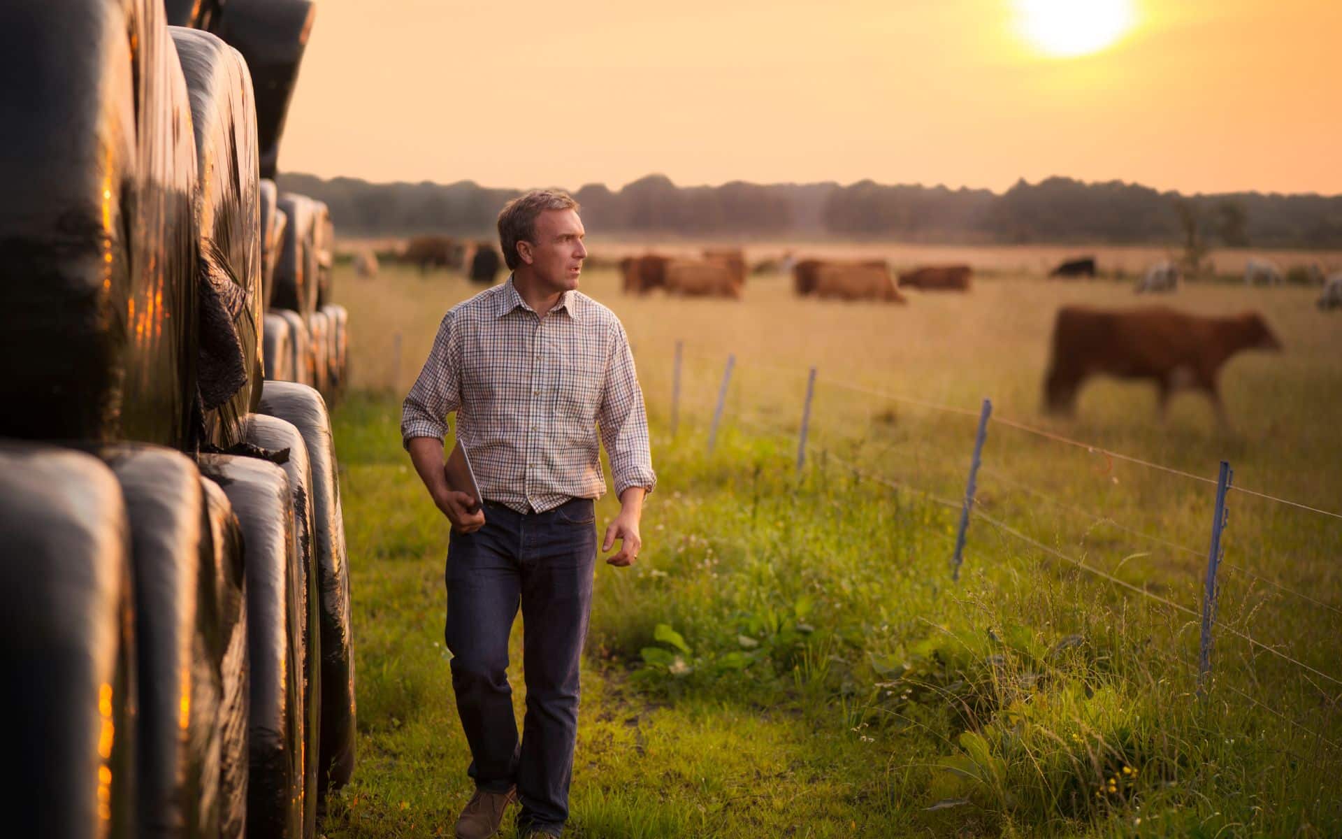 Trump Targets Australian Beef Exports as Us Farmers Push for More Tariffs