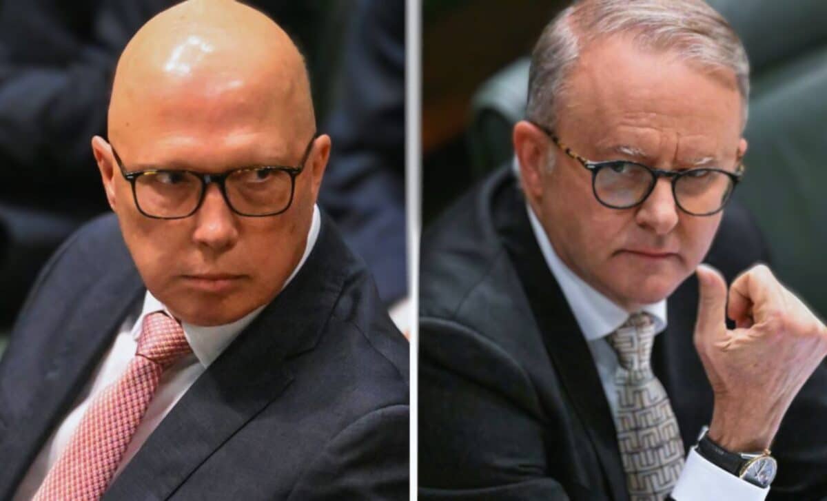 Dutton albanese energy