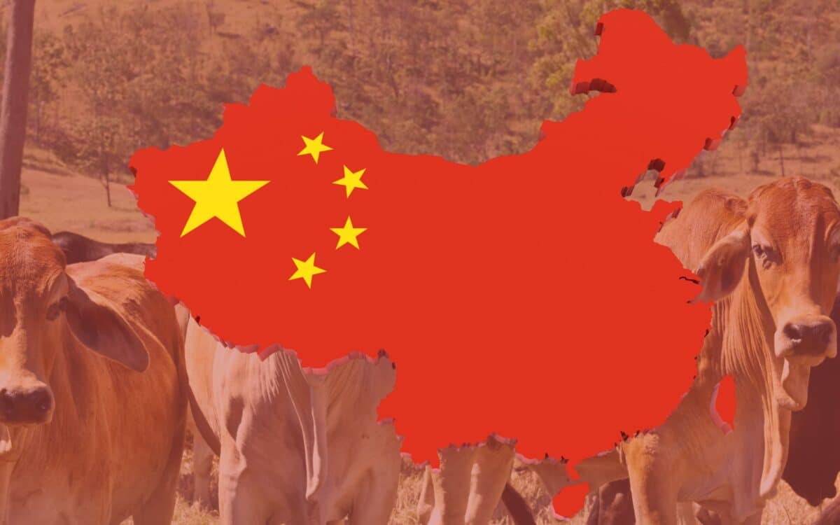US Beef Exports to China Halted as Australian Exports Rise
