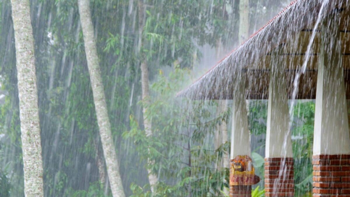 Heavy Rain