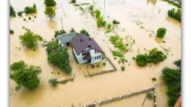 Flood