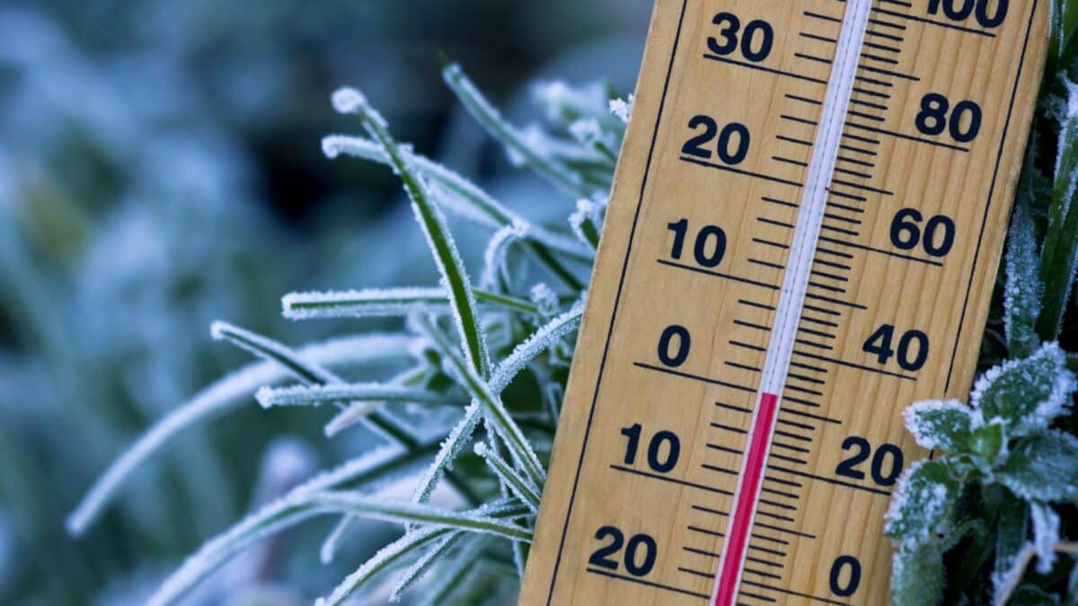 Sydney's Coldest Day in Years!