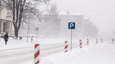 Winter