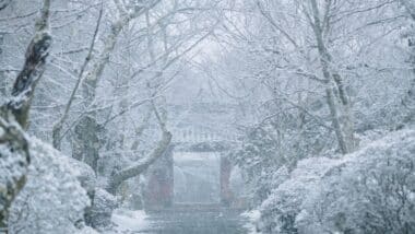 snow