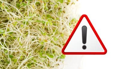 Massive Recall Alert: These Popular Alfalfa Sprouts Could Be Harming You