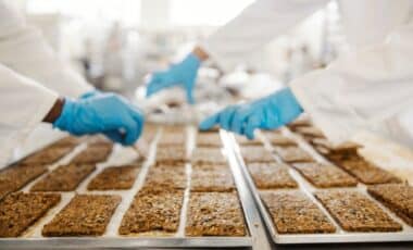 Is Australia’s National Food Policy Setting Us Up for a Health Crisis?