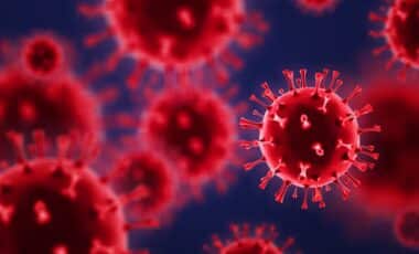 Victoria on Alert: Deadly Disease Found in Horsham