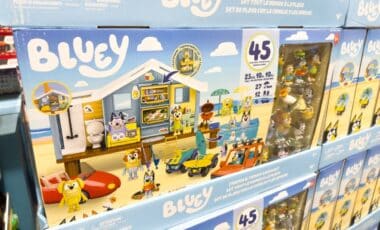 Parents Beware: Popular Toy Sets Recalled Over Dangerous Risk