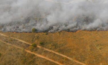 Centrelink Steps In: Bushfire Victims to Receive Emergency Cash Relief