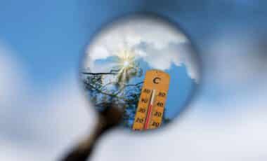 50 Degrees and Rising: Western Australia Endures Brutal Heatwave