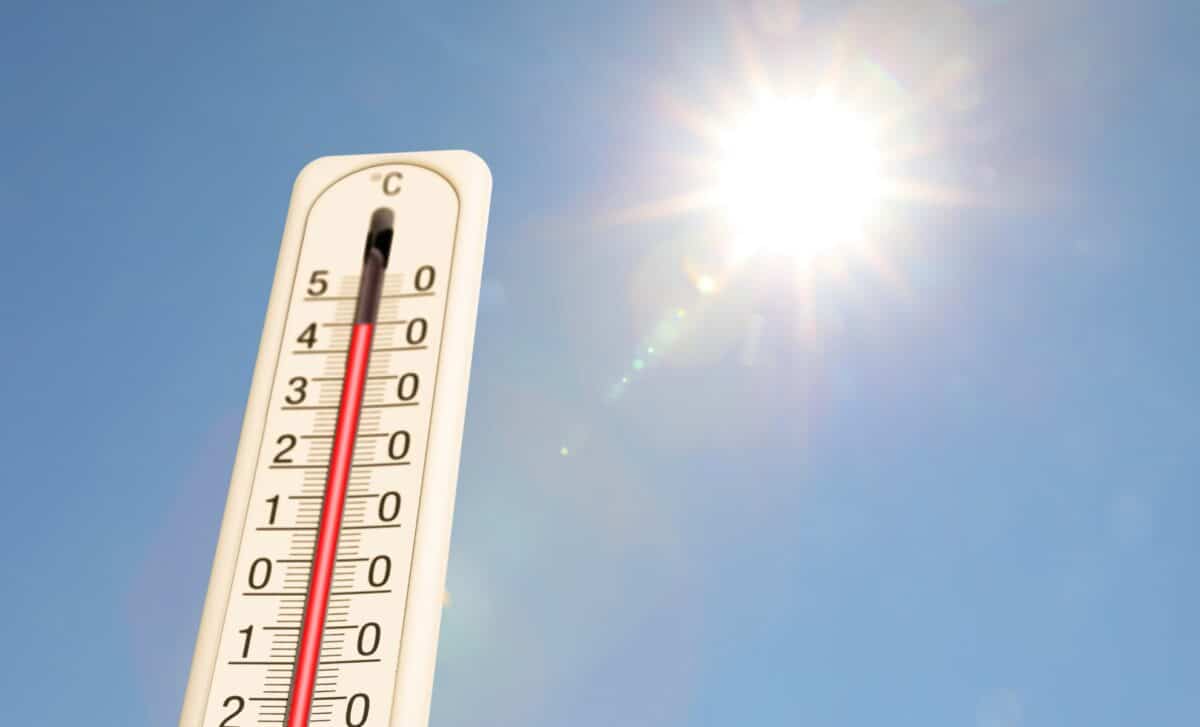 Heatwave Hell: Australia Sweats Through One of Its Worst Weekends Yet