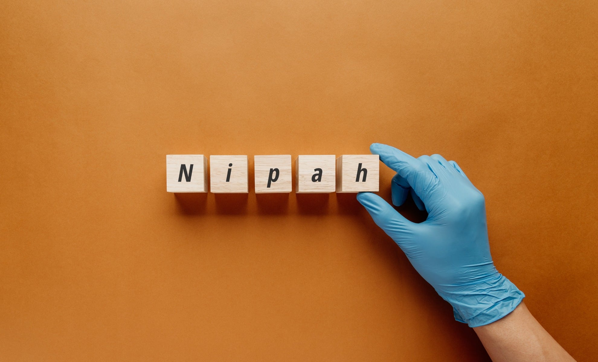 Nipah Virus Concerns Resurface as Australia Watches Closely