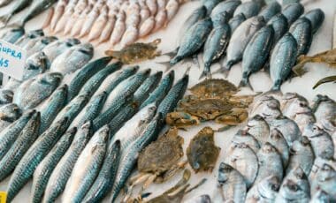 Fish Prices Set To Rise As Fuel Costs Hit The Fishing Industry