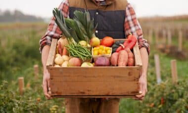 No Fuel, No Crops: Why Australian Farms Are Pulling Back