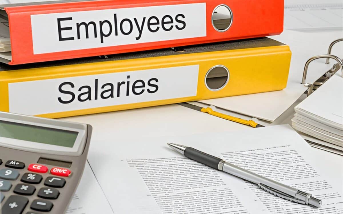 Workers-close-up of two colorful binders labeled Employees and Salaries, suggesting a focus on workforce management and compensation