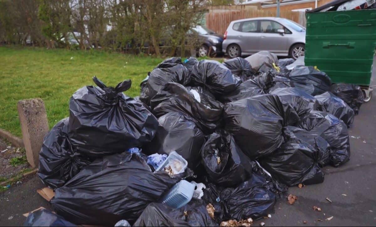 Birmingham bin strike