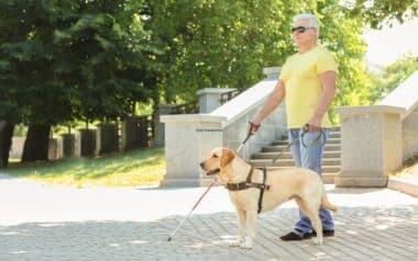 A Guide Dog Helping a Blind Man