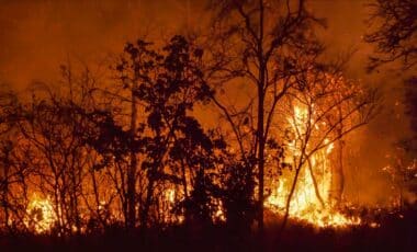 Wildfire on Dartmoor