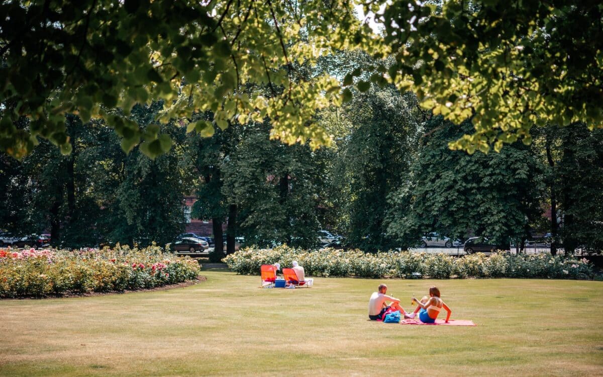 People Are Sunbathing on the Grass in the Park in the UK