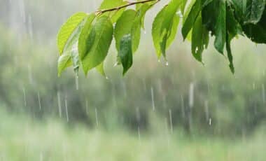 UK weather forecast