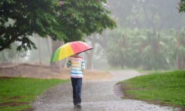 Met office yellow warning