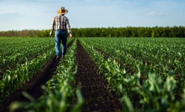 british farmers major changes