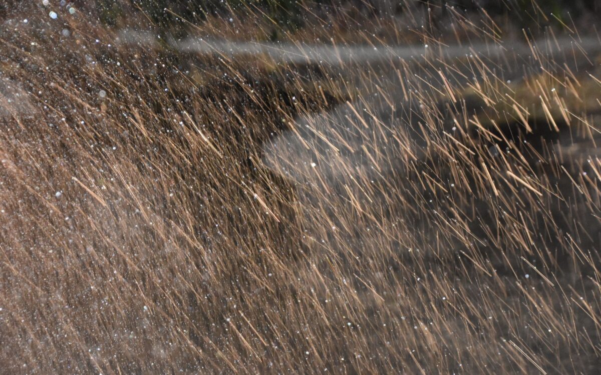 Torrential rain