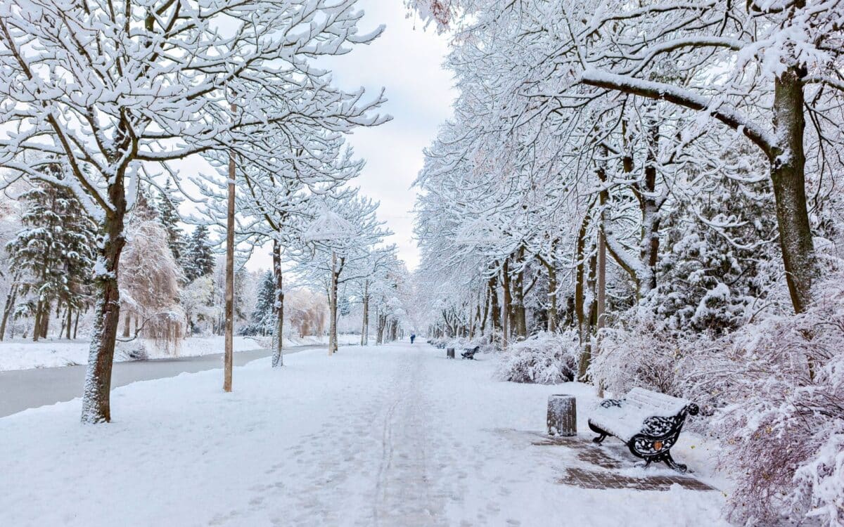 A Park Covered in Snow