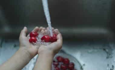 Person washing cherry tomatoes