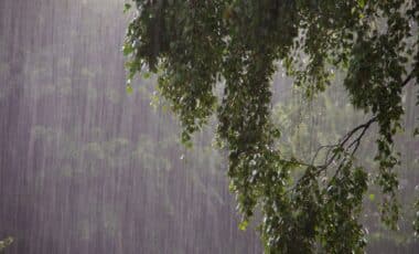 Met office icy rain forecast