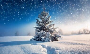 Met Office christmas forecast