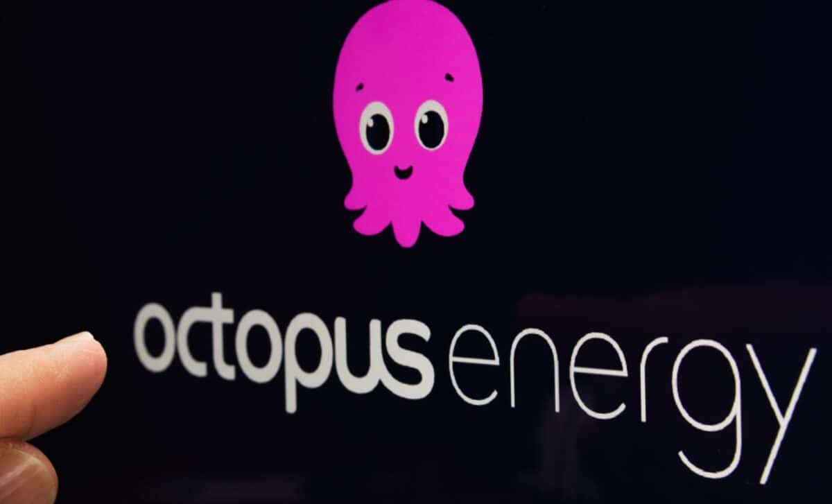 Octopus energy