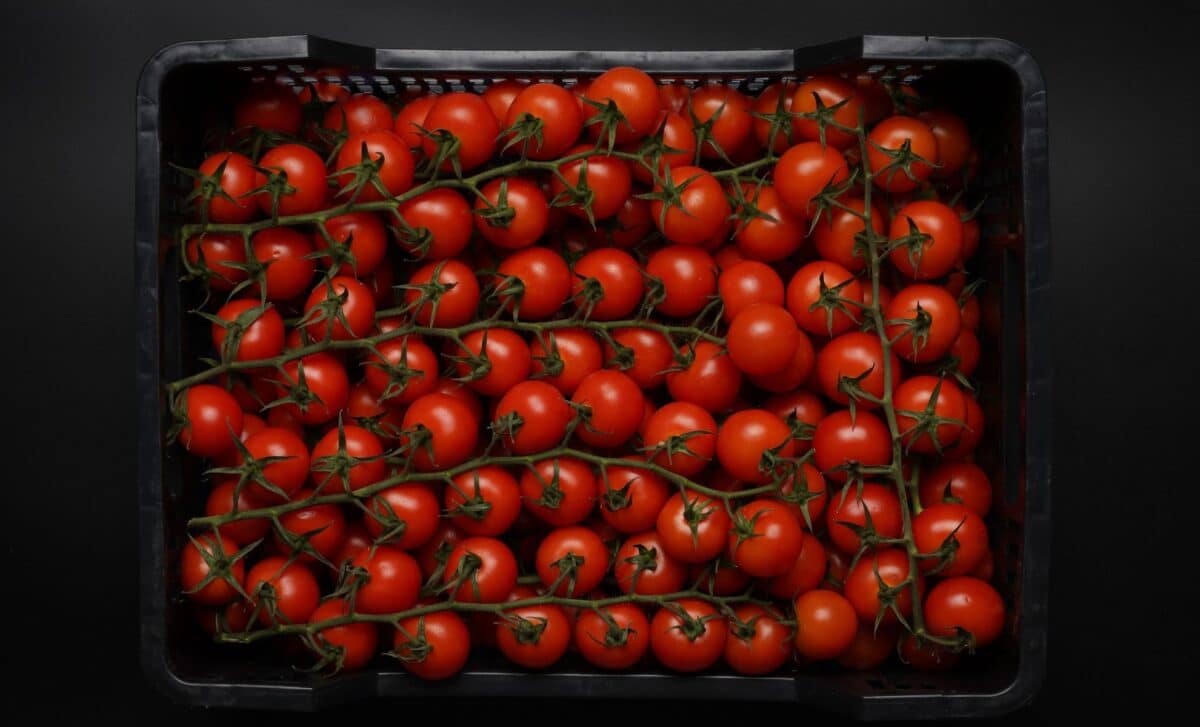Tomato food classification change