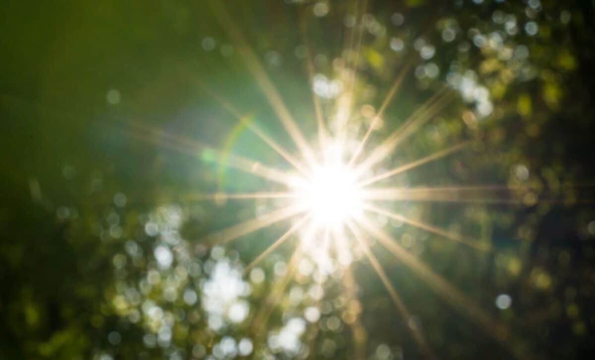 Met Office weekend forecast