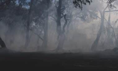 Burnham Summons Cobra as UK Heat Fuels Fears of a Wildfire “National Emergency”