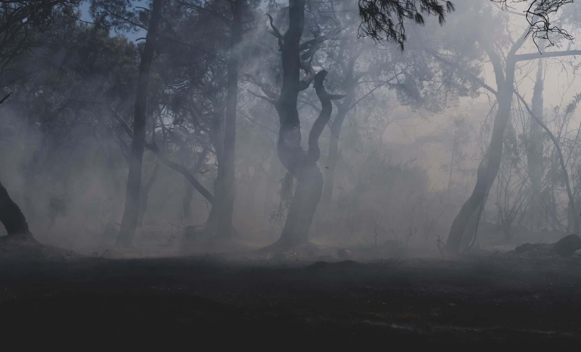 Burnham Summons Cobra as UK Heat Fuels Fears of a Wildfire “National Emergency”