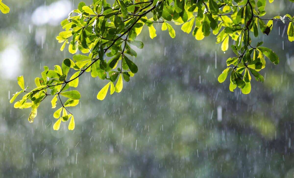Met Office Forecast Maps Reveal Where Heavy Rain Will Hit Britain on Monday