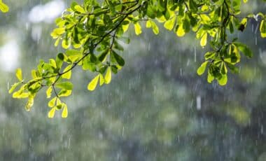Met Office Forecast Maps Reveal Where Heavy Rain Will Hit Britain on Monday