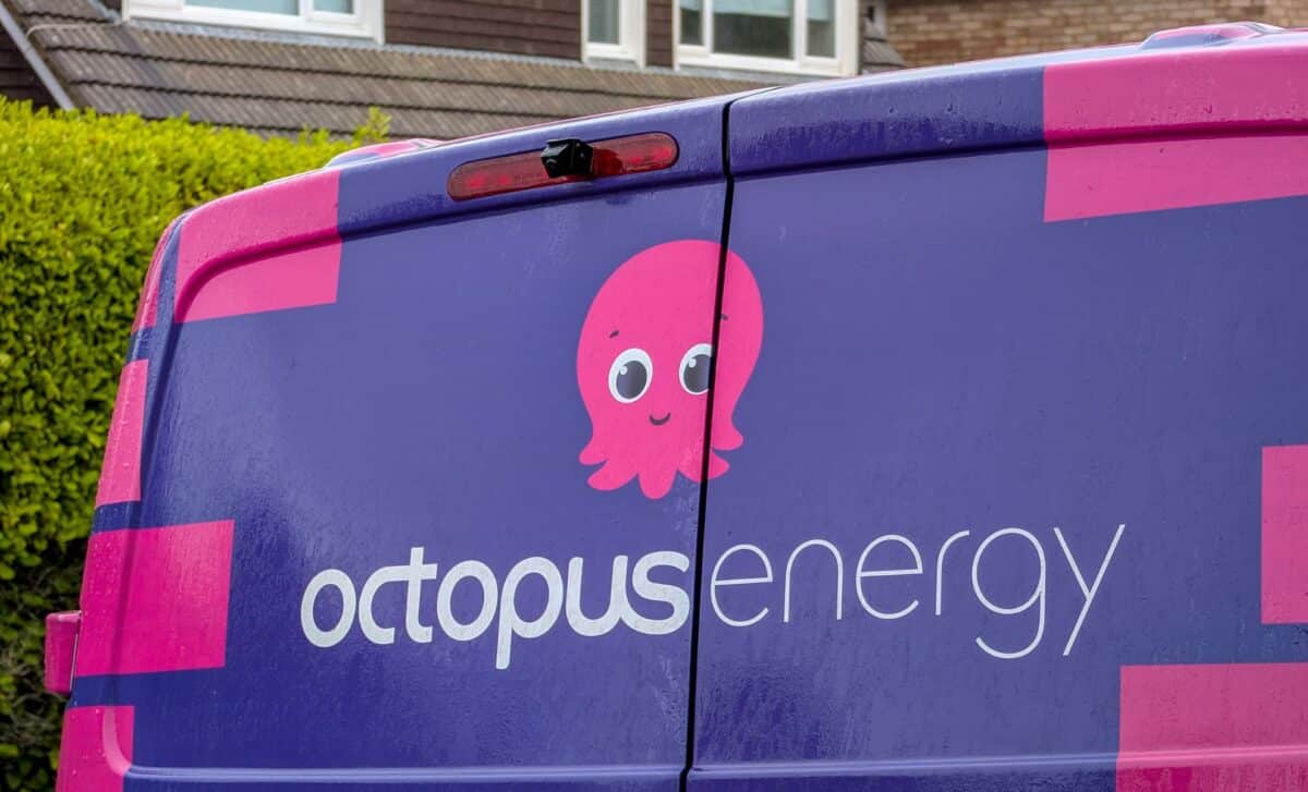 Octopus Offers Free Weekend Power, Here’s Who Can Actually Claim It