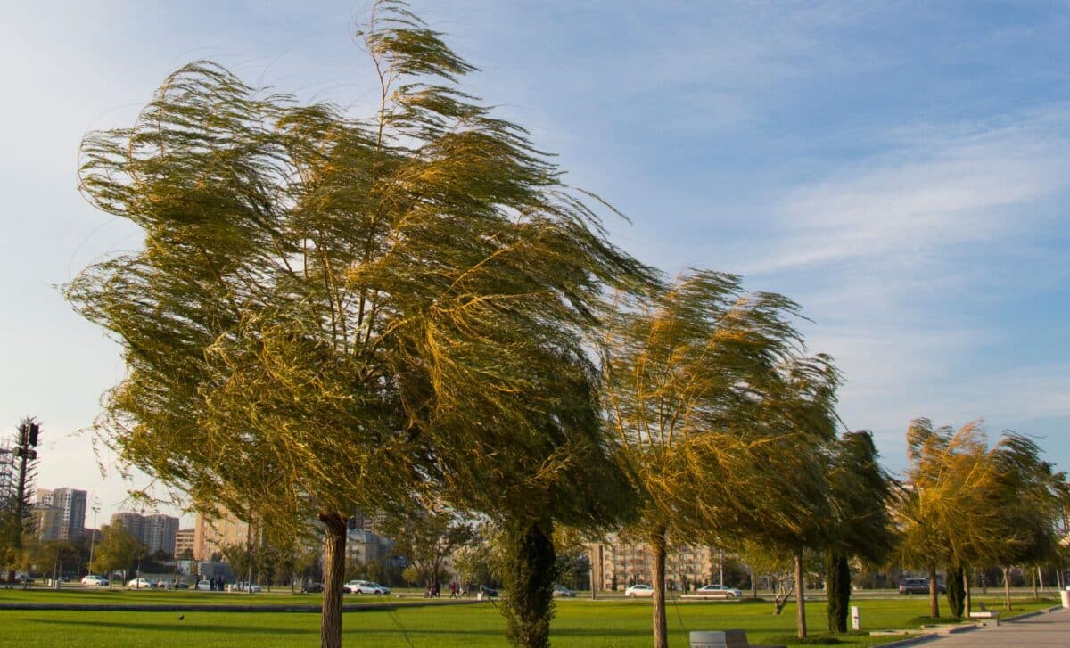 Met Office Issues Fresh Alert As 70mph Winds Put Parts of Britain on Notice