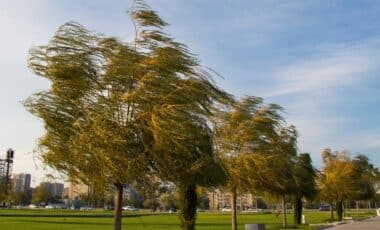 Met Office Issues Fresh Alert As 70mph Winds Put Parts of Britain on Notice